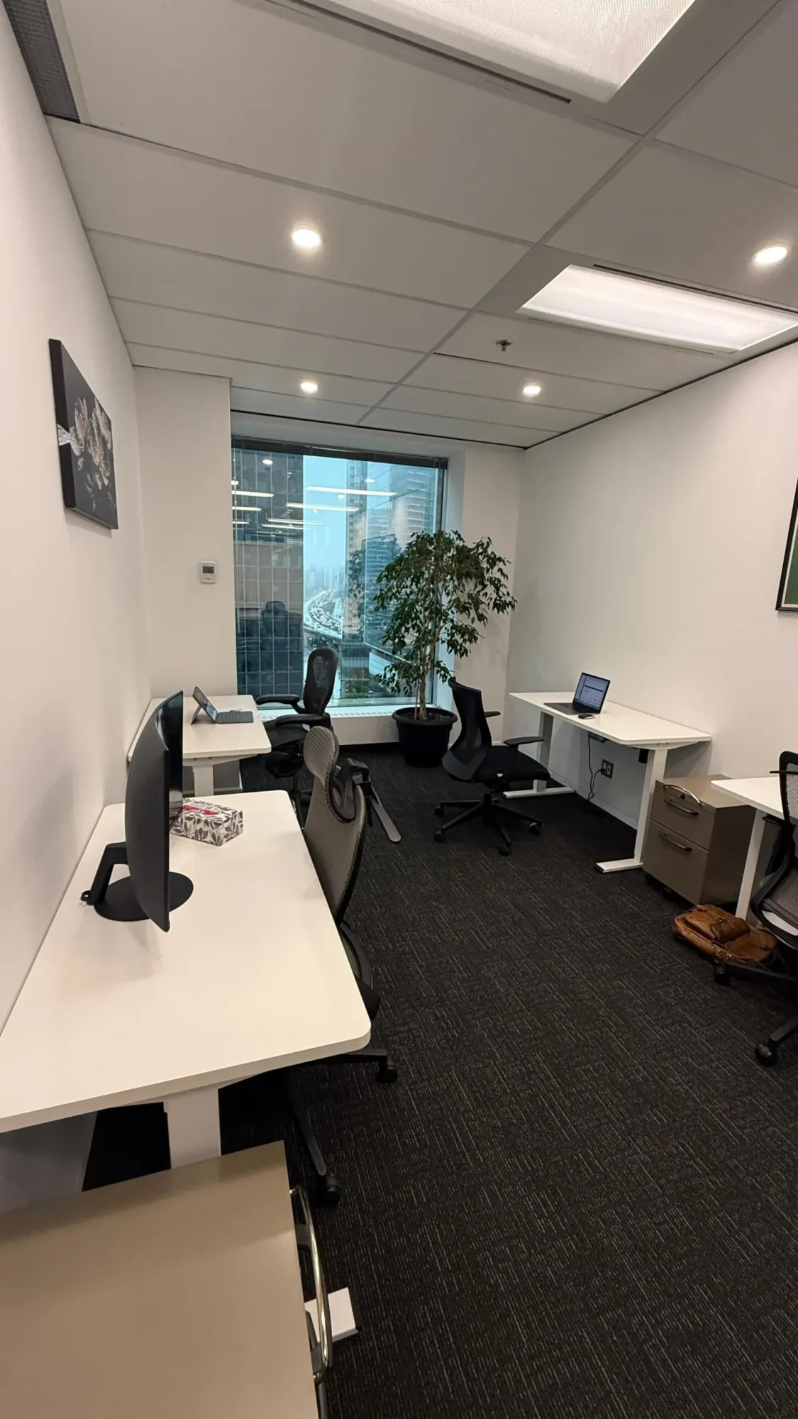 Wide Ripples Digital agency workspace Workspace at the Wide Ripples Digital marketing agency in Mississauga