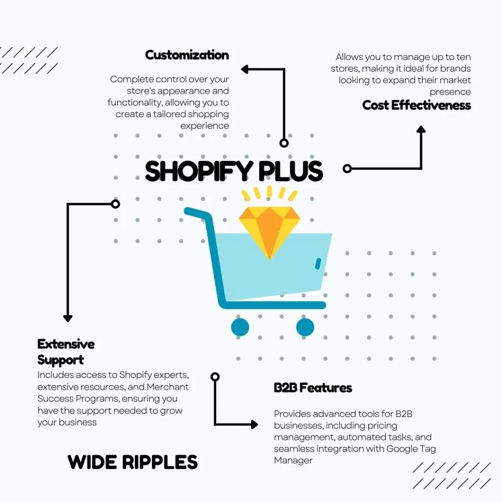 Different Shopify Plus Features