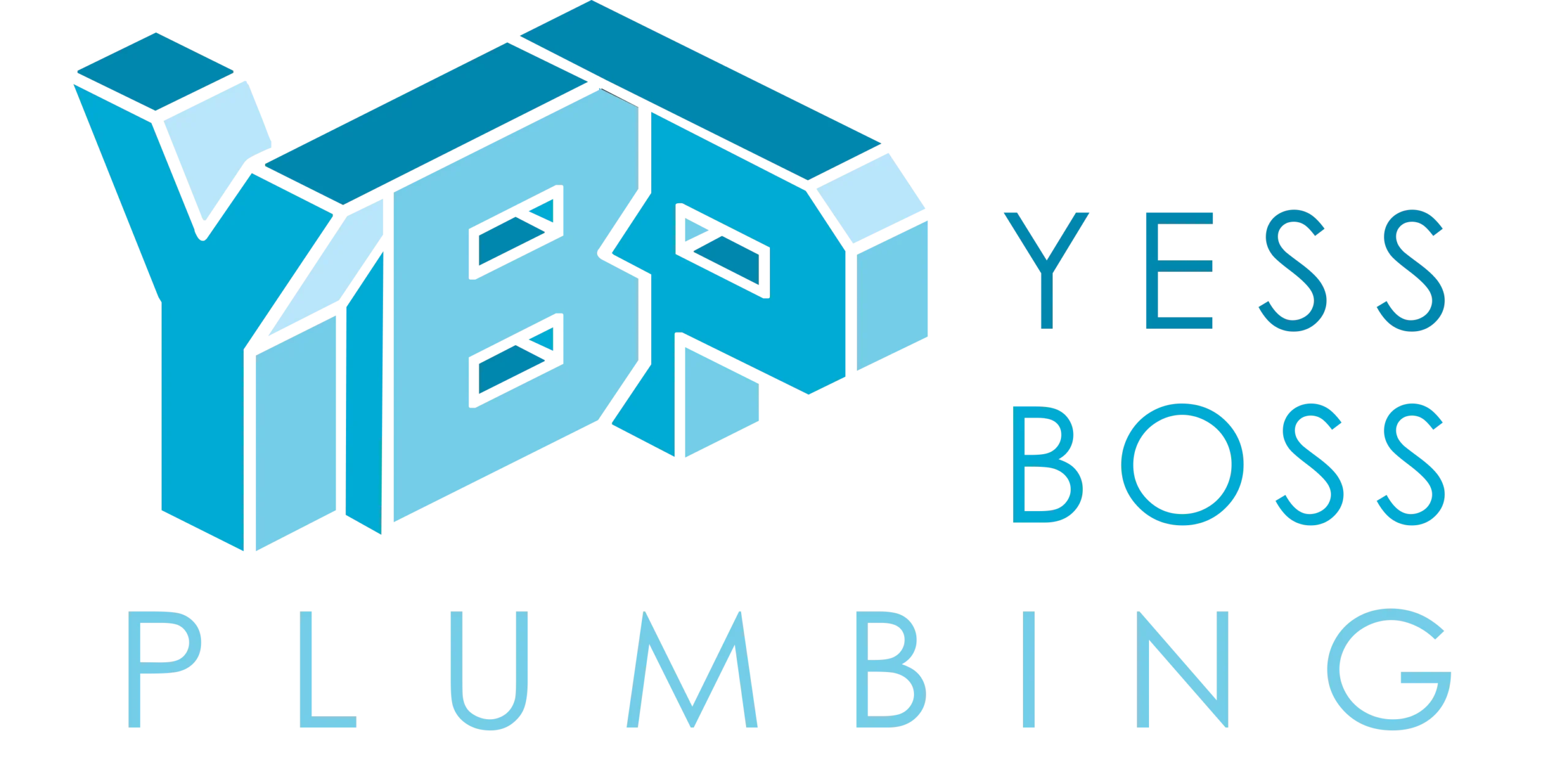 YESS BOSS PLUMBING Logo