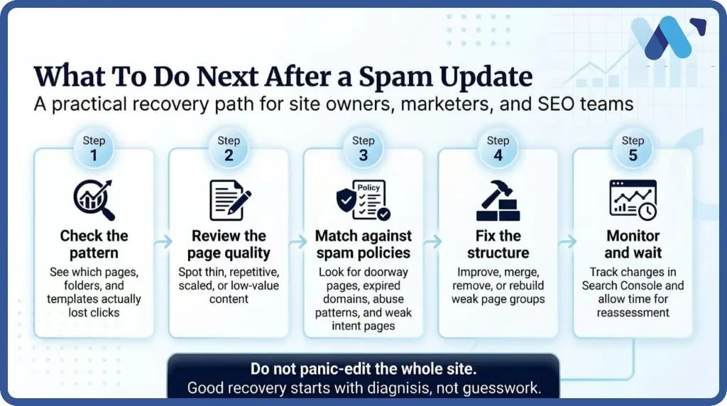 what to do next after spam update